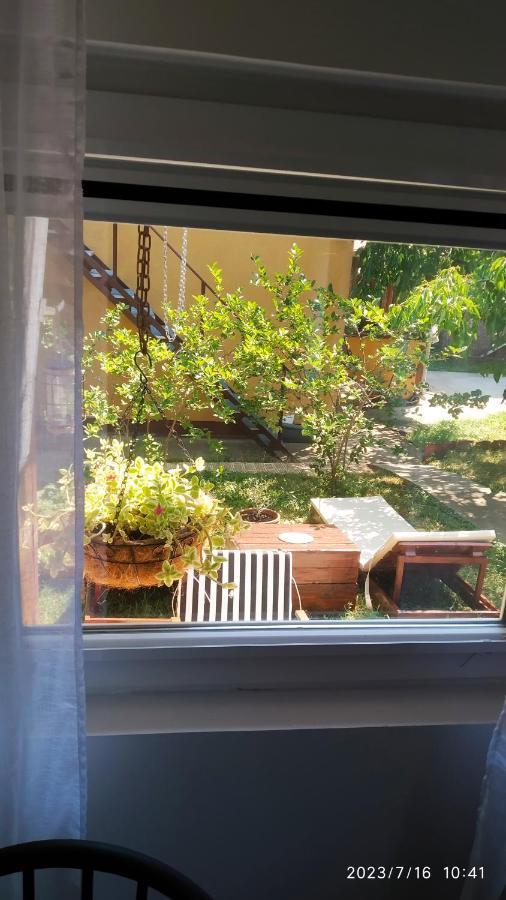 Apartman Stara Tresnja Kladovo Zewnętrze zdjęcie